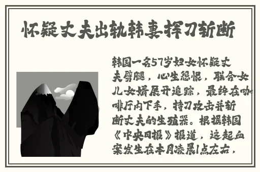 媒豆传媒免费视频入口网站